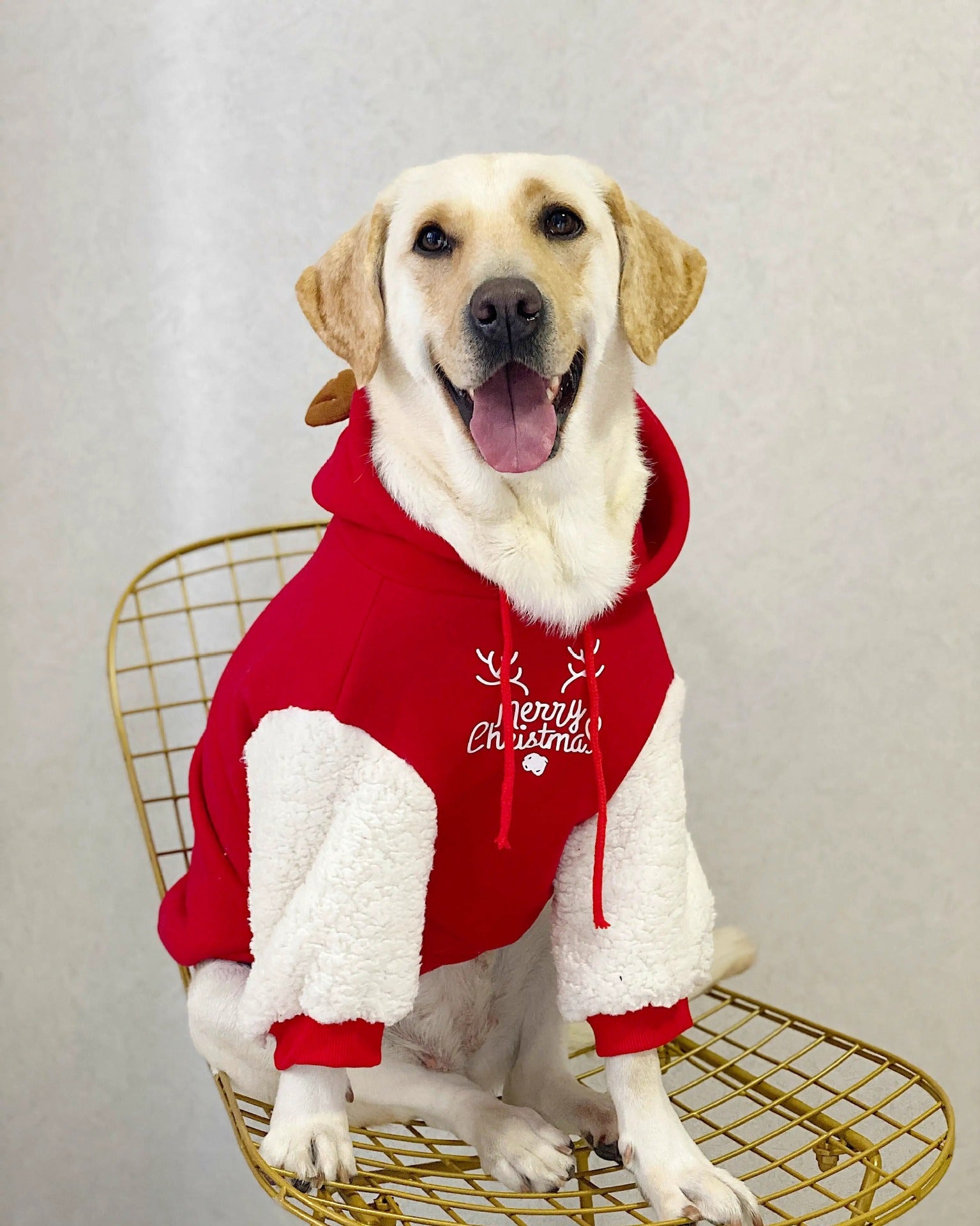 KFX-7137469 Christmas Deer Hooded Fleece Pet Sweatshirt for Dogs and Cats, Sizes XS to XXL