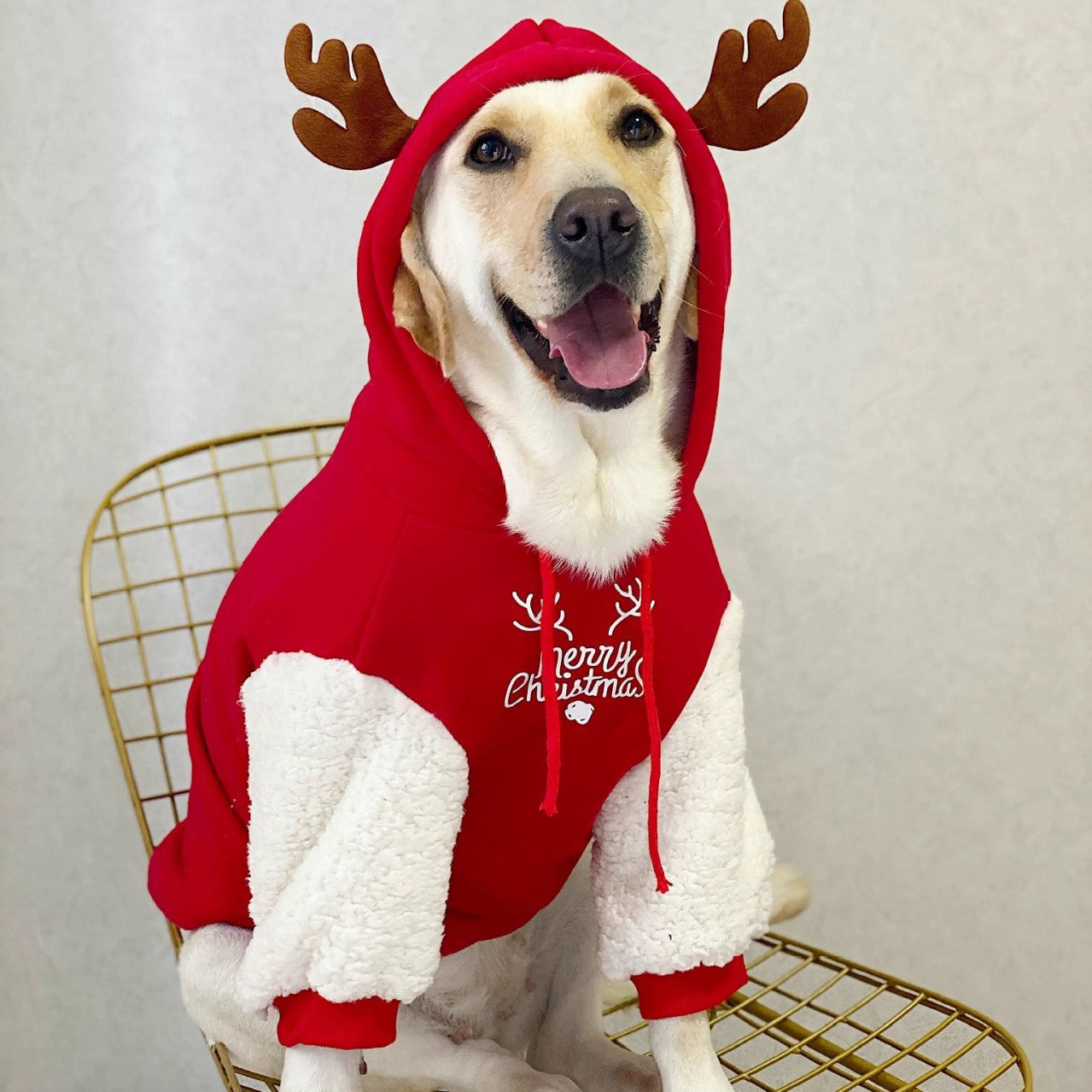 KFX-7137469 Christmas Deer Hooded Fleece Pet Sweatshirt for Dogs and Cats, Sizes XS to XXL