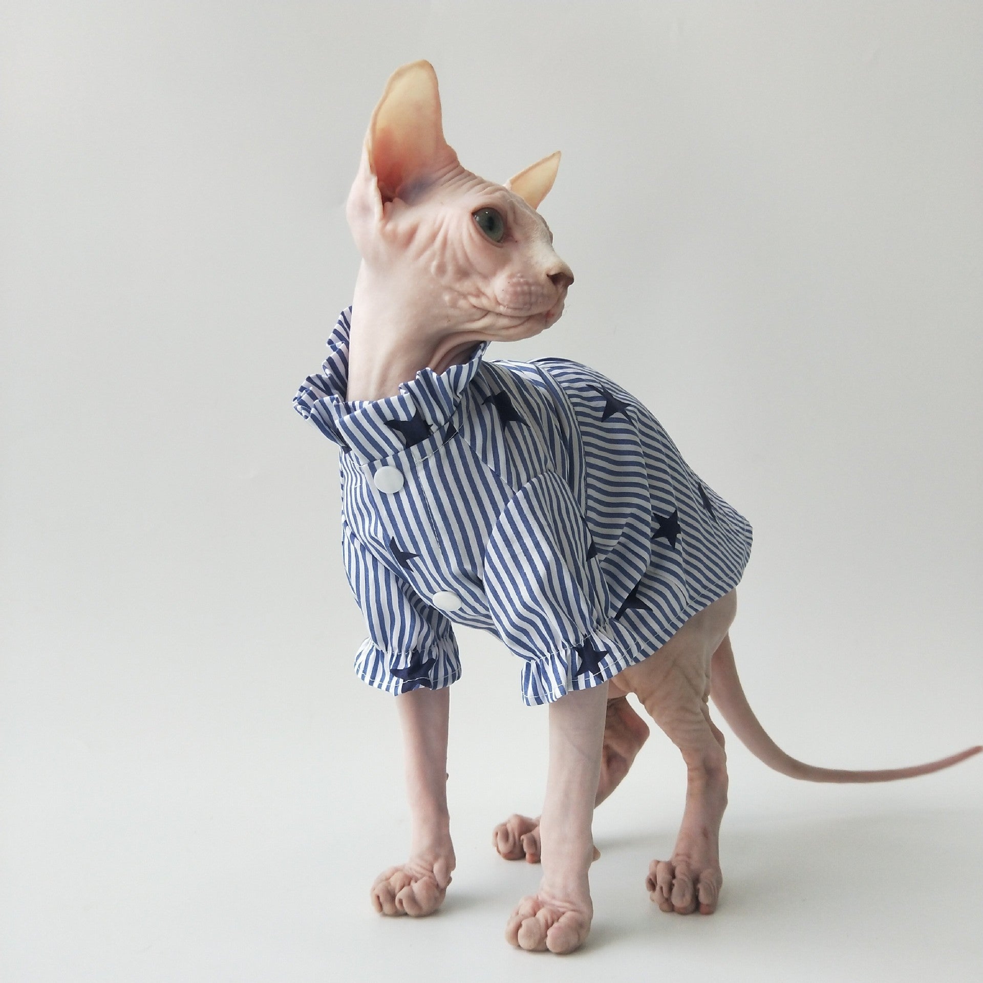 KFX-7146045 Lightweight Cotton Shirt for Hairless Cats - Breathable Casual Apparel