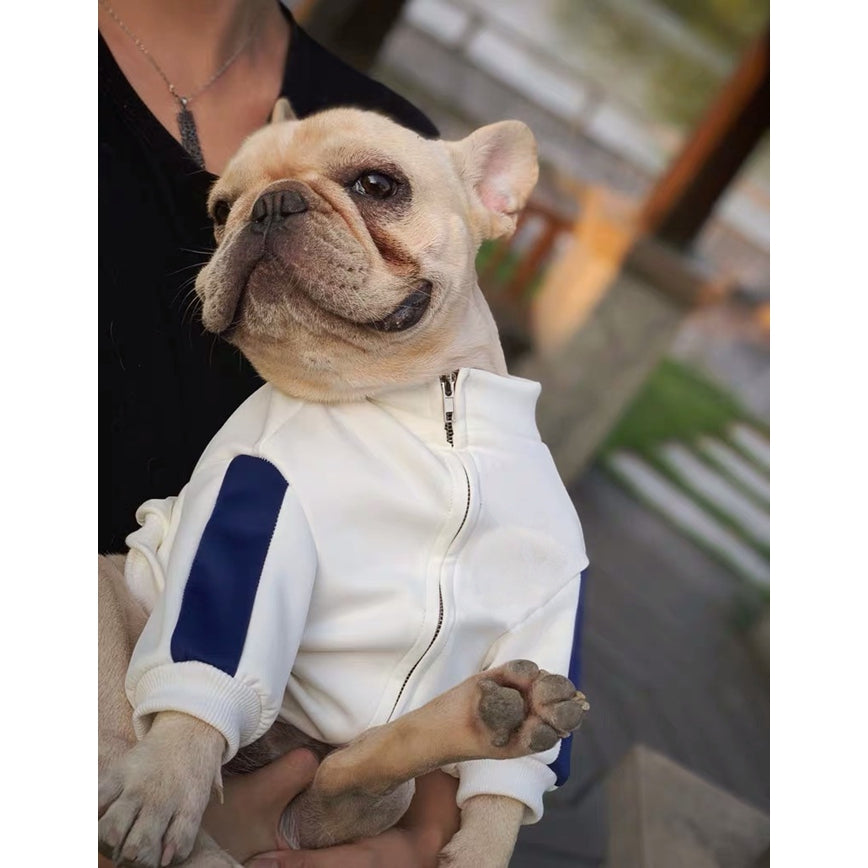 KFX-7146813 Cozy Cotton Sweater for Cats and Dogs – Stylish Pet Apparel