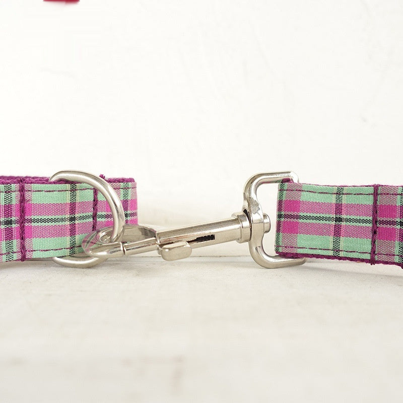 KFX-7153981 Tear-Resistant Mint Pet Collar and Traction Leash Set