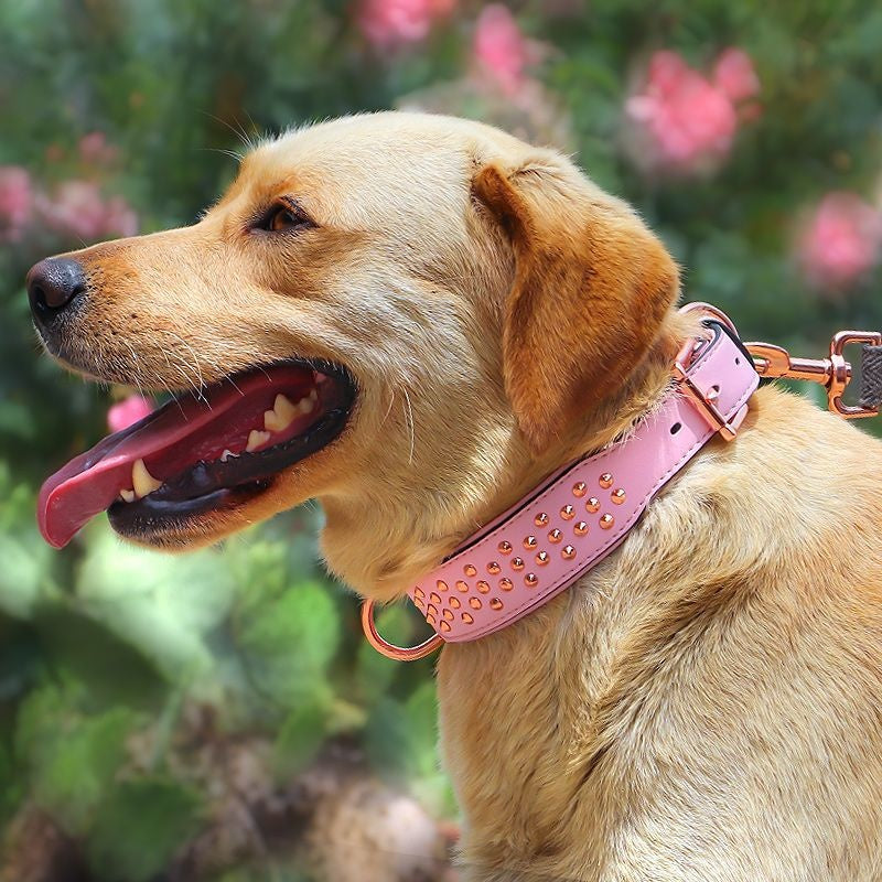 KFX-7161917 Leather Rivet Dog Collar - Anti-Bite, Available in Chocolate, Pink, and Black, Suitable for All Seasons