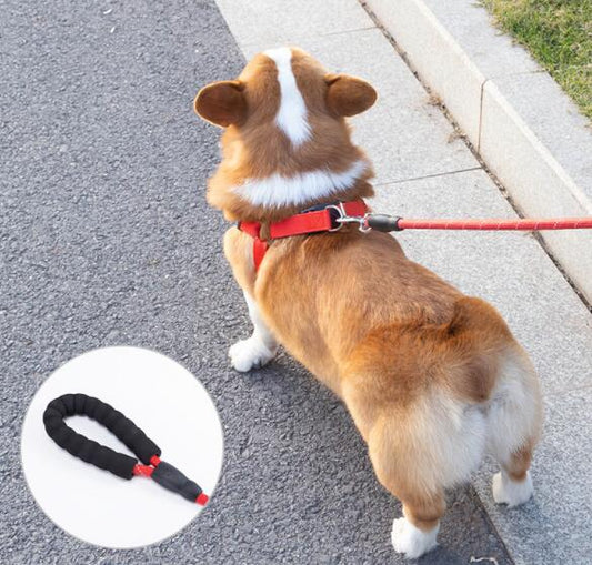 KFX-7165501 EVA Reflective Dog Leash and Collar Set in Multiple Colors and Sizes