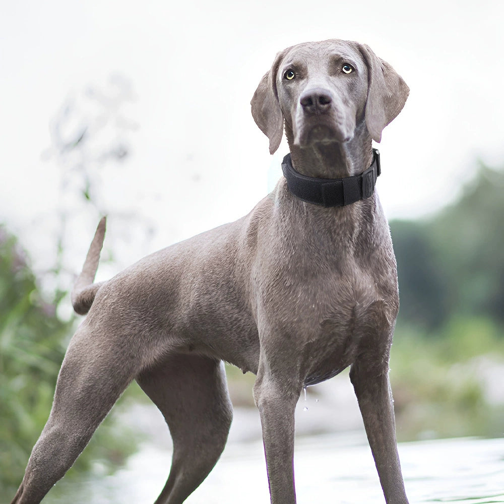 KFX-7174077 Durable Explosion-Proof Tactical Pet Collar – Available in Multiple Colors