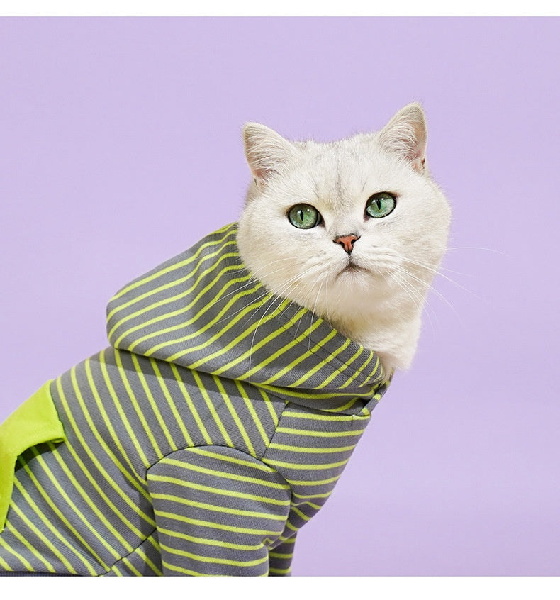 KFX-7177021 Cozy Turtleneck Ribbed Cat Shirt in Sky Blue, Fruit Green, and Pink - Sizes S to XL