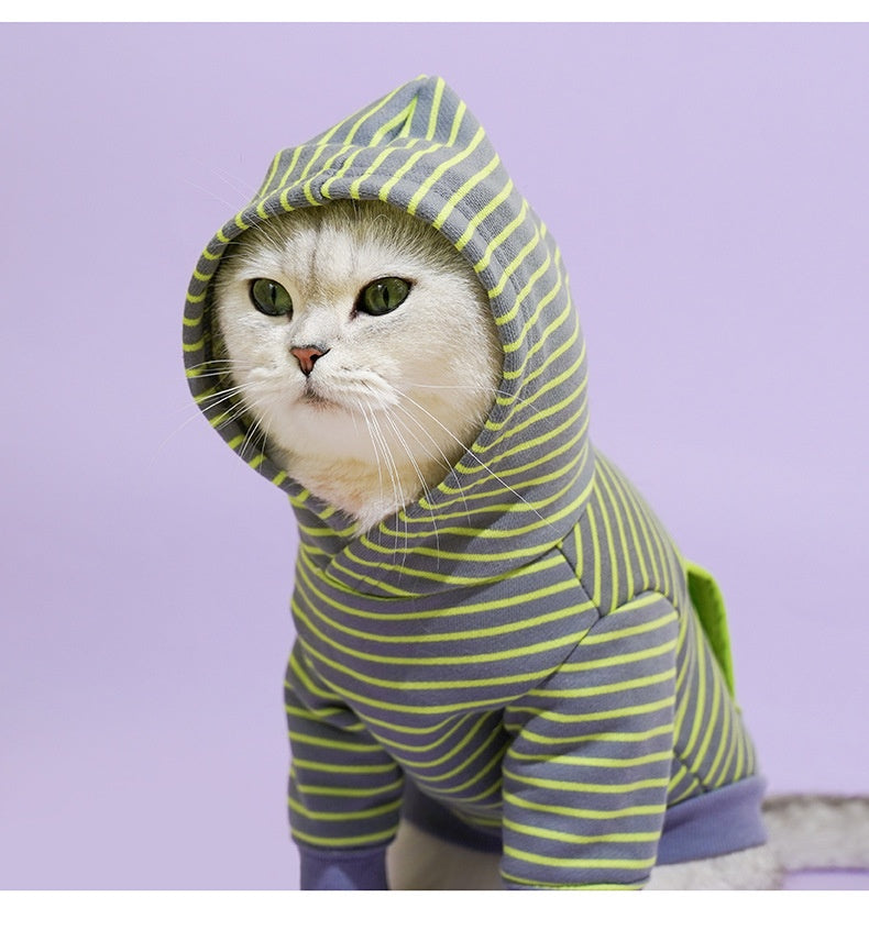 KFX-7177021 Cozy Turtleneck Ribbed Cat Shirt in Sky Blue, Fruit Green, and Pink - Sizes S to XL