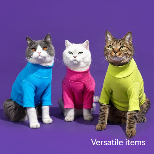KFX-7177021 Cozy Turtleneck Ribbed Cat Shirt in Sky Blue, Fruit Green, and Pink - Sizes S to XL