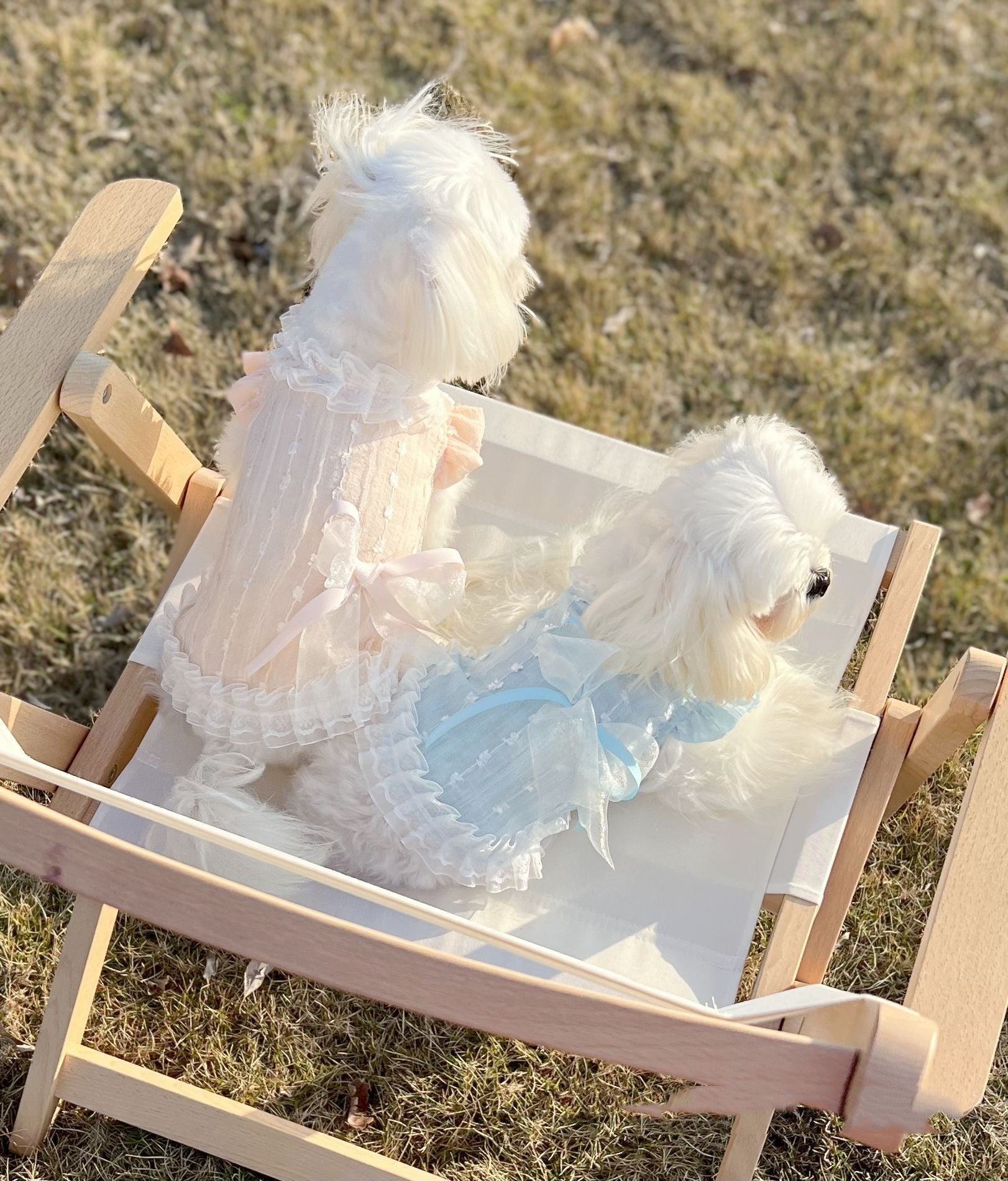 KFX-7177789 Chiffon Lace Bow Dress for Pets - Stylish Blue and Pink Skirt - Sizes 2XS to 3XL
