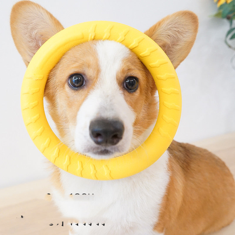 KFX-7182013 Durable Puppy Molar Interaction Ring - Various Sizes and Colors Available