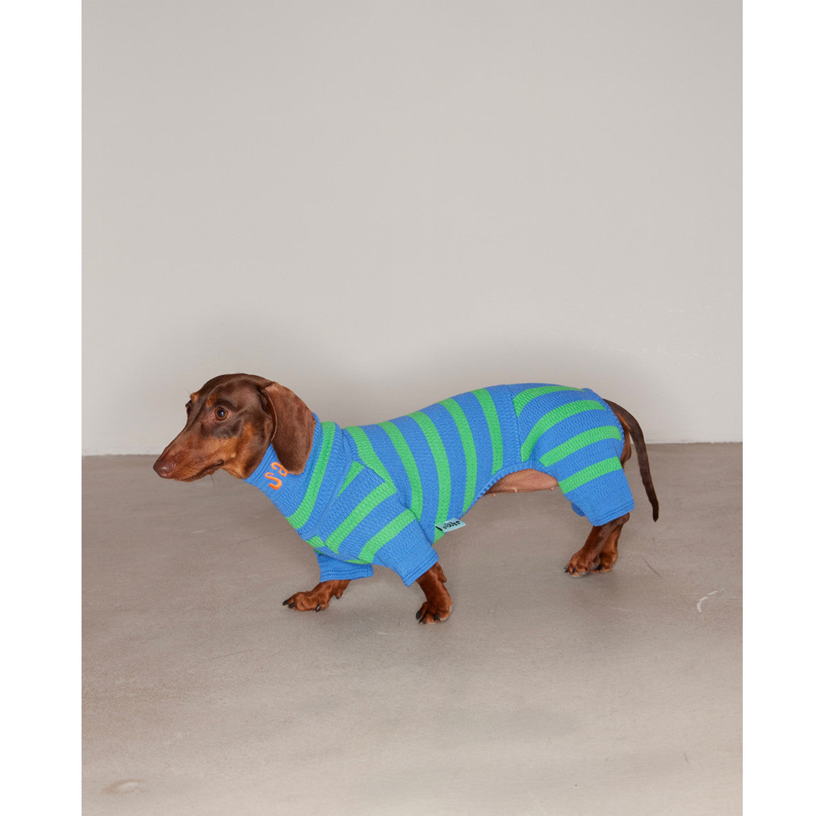 KFX-7187517 Knitted Color-Block Stretch Four-Legged Dog Outfit for All Sizes