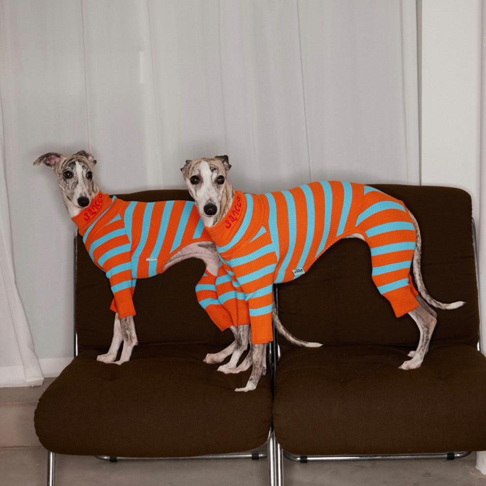 KFX-7187517 Knitted Color-Block Stretch Four-Legged Dog Outfit for All Sizes