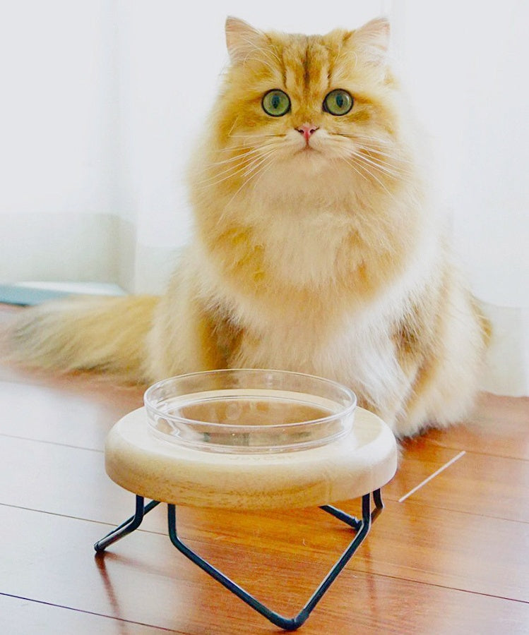 KFX-7192893 Solid Wood Cat Bowl Rack - Natural Wood Pet Feeding Stand (19*19*10cm)