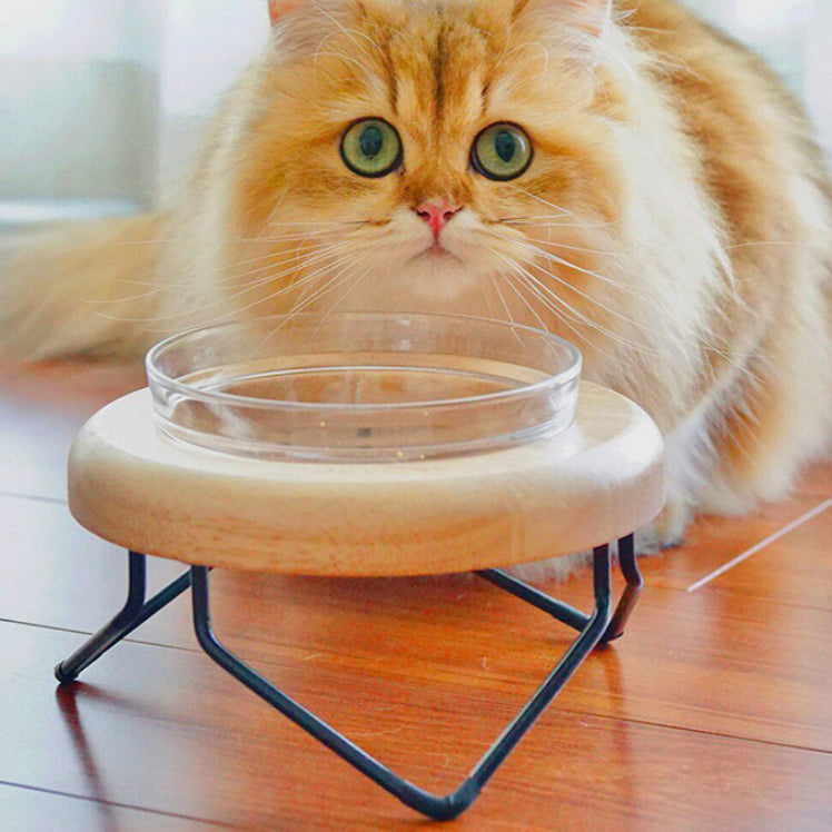 KFX-7192893 Solid Wood Cat Bowl Rack - Natural Wood Pet Feeding Stand (19*19*10cm)