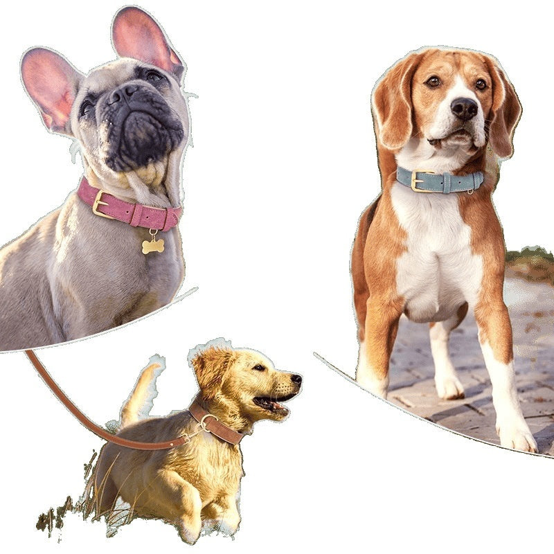 KFX-7194173 Double-Layer Leather Pet Collar with Traction Rope for Small to XL Dogs