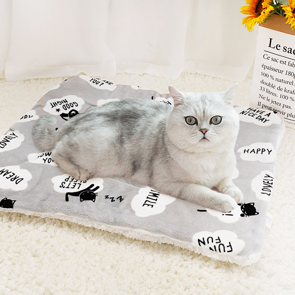 KFX-7194557 Lambskin Flannel and Cashmere Pet Blanket with Cute Cartoon Design