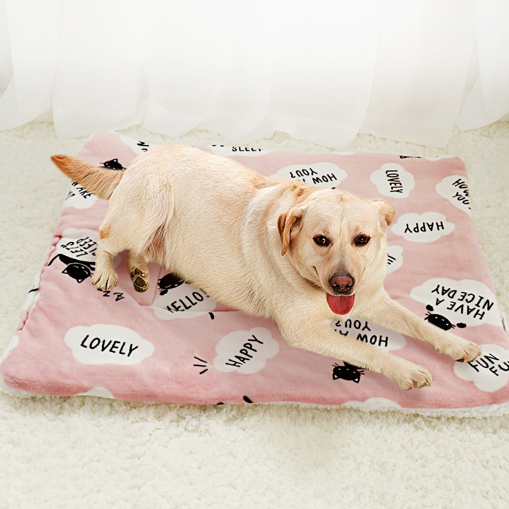 KFX-7194557 Lambskin Flannel and Cashmere Pet Blanket with Cute Cartoon Design