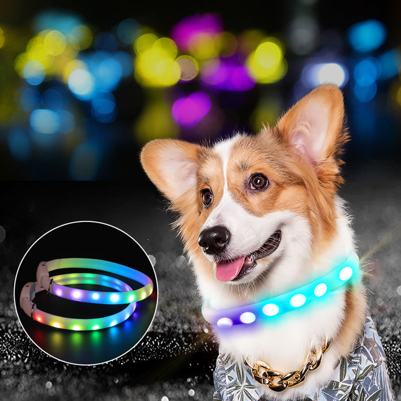KFX-7194685 Luminous Rechargeable Dog Walking Collar Leash - Universal Size 65cm for All Seasons
