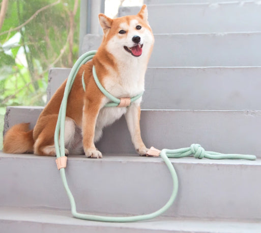 KFX-7198269 Light Green Multi-Functional Anti-Burst Pet Chest Harness with Adjustable 3.8m Leash
