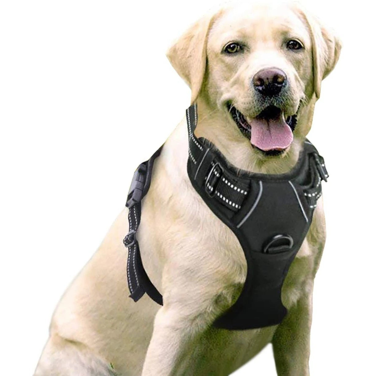 KFX-7201085 Nylon Dog Hand-Holding Rope for Chest and Back – Available in Multiple Colors (1.5m)