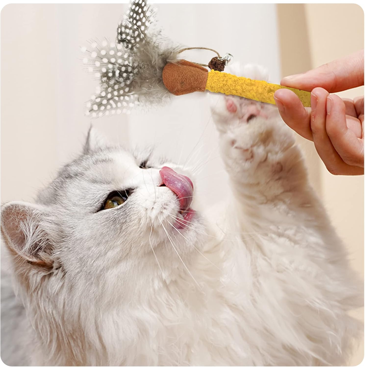 KFX-7205693 Natural Cat Chew Sticks with Feather for Teeth Cleaning and Stress Relief, 3-Color Set