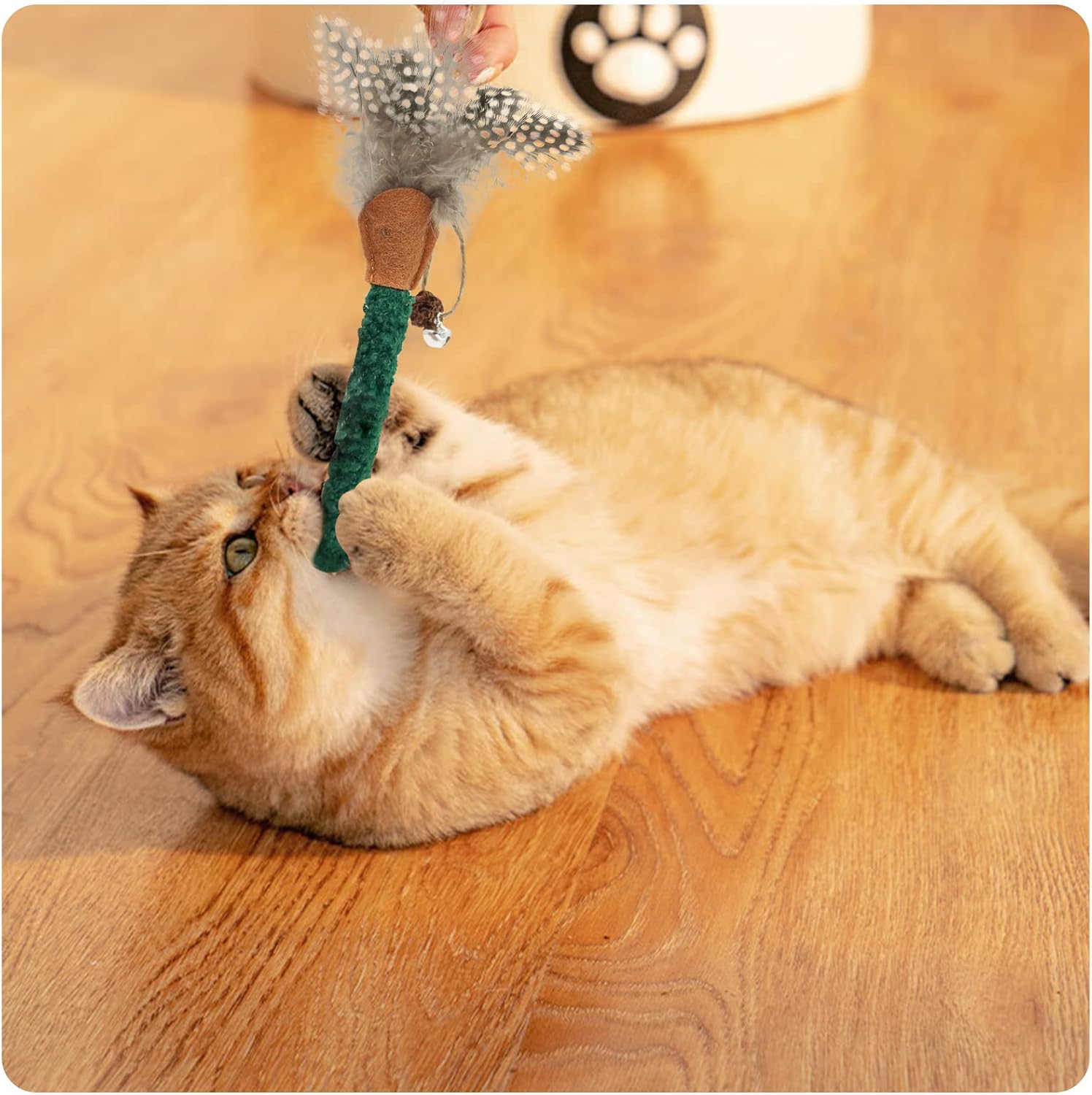 KFX-7205693 Natural Cat Chew Sticks with Feather for Teeth Cleaning and Stress Relief, 3-Color Set