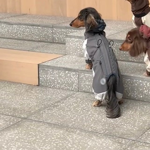 KFX-7209789 Warm and Stylish Dachshund Shell Jacket for Autumn and Winter - Gray and Brown Options Available