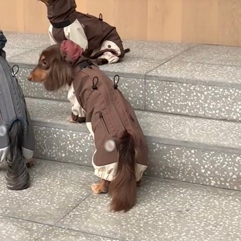 KFX-7209789 Warm and Stylish Dachshund Shell Jacket for Autumn and Winter - Gray and Brown Options Available