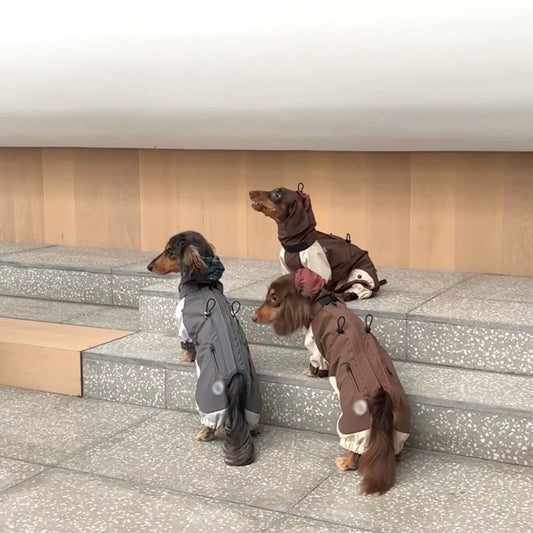KFX-7209789 Warm and Stylish Dachshund Shell Jacket for Autumn and Winter - Gray and Brown Options Available