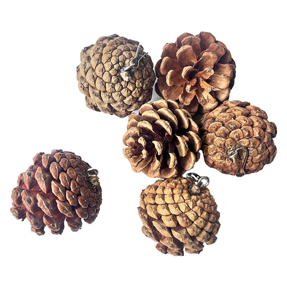 KFX-7212605 Pine Cone Hanging Toy with Studs for Interactive Pet Play