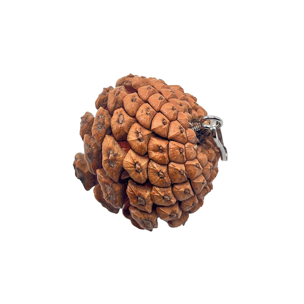 KFX-7212605 Pine Cone Hanging Toy with Studs for Interactive Pet Play
