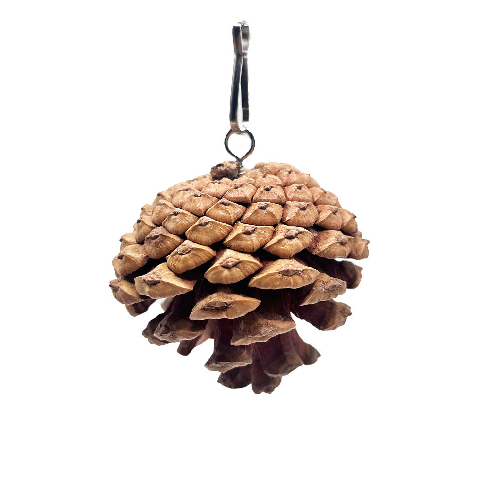 KFX-7212605 Pine Cone Hanging Toy with Studs for Interactive Pet Play