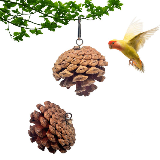 KFX-7212605 Pine Cone Hanging Toy with Studs for Interactive Pet Play