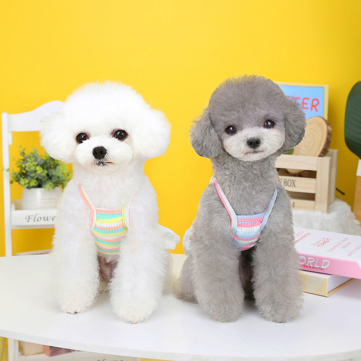 KFX-7220285 Colorful Striped Pet Skirt with Wings for Dogs, Cotton Material