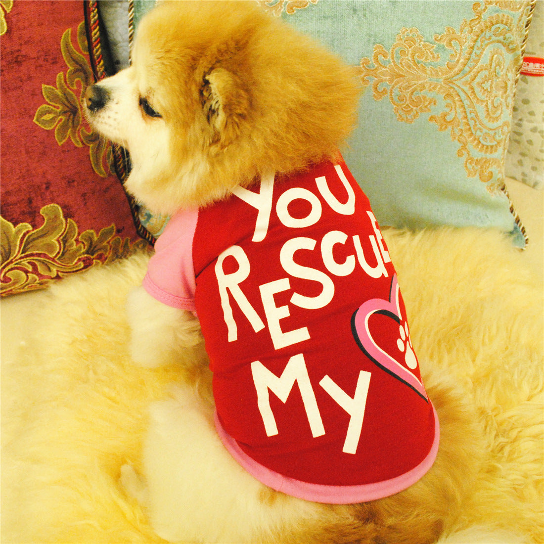 KFX-7229629 Monogrammed Cotton Pet Vest in Red and Blue - Casual Style for Small to Large Dogs