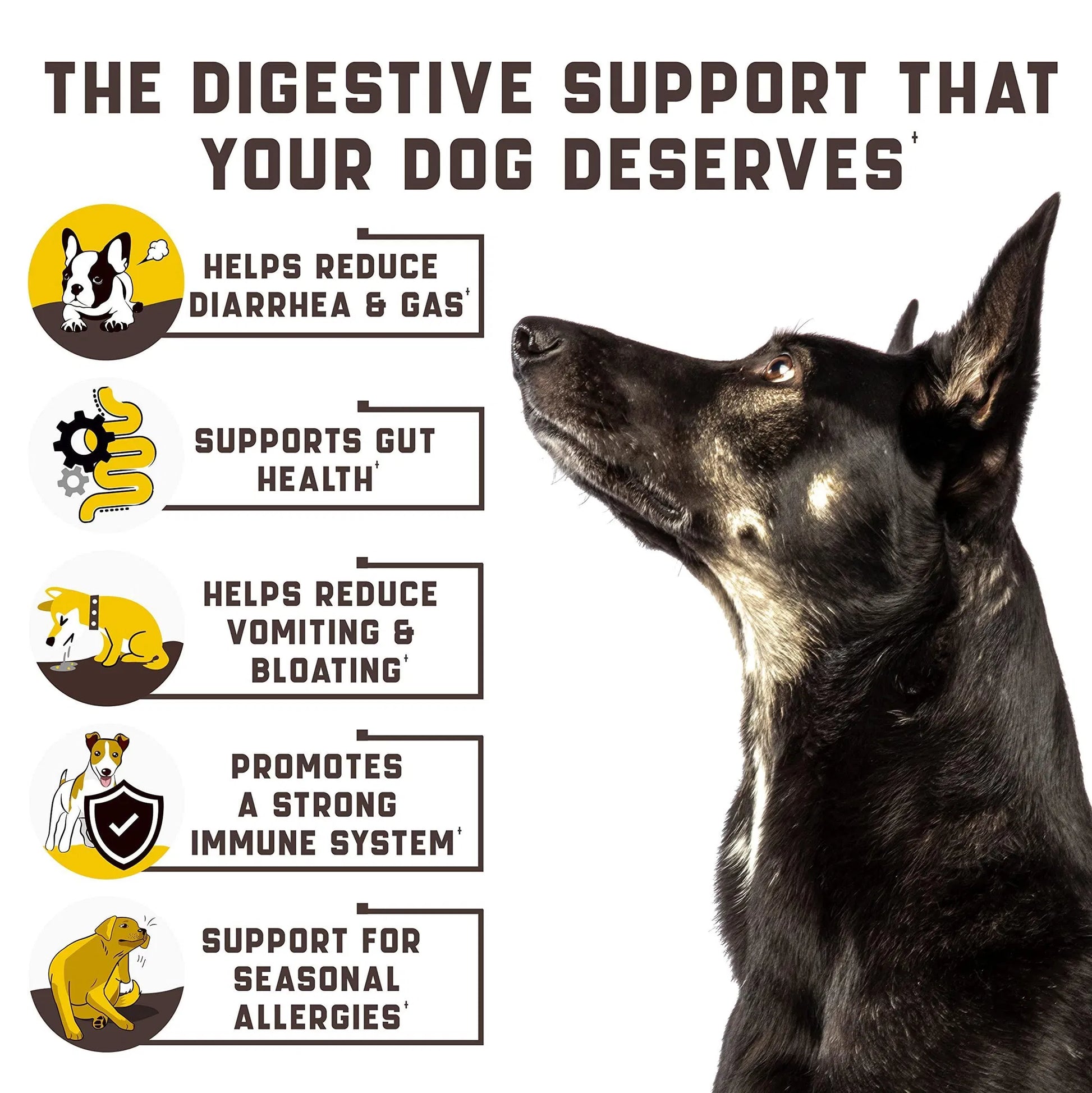 KFX-7237053 Probiotics for Dogs with Digestive Enzymes - Support Gut Health, Allergies, Itchy Skin, and Immunity - Duck Flavor Chews, 180 Count
