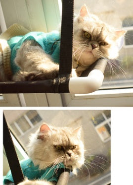 KFX-7238589 Window Sill Cat Hammock – Double Layer Coral Velvet Cat Cushion with Suction Cups, Holds Up to 10kg