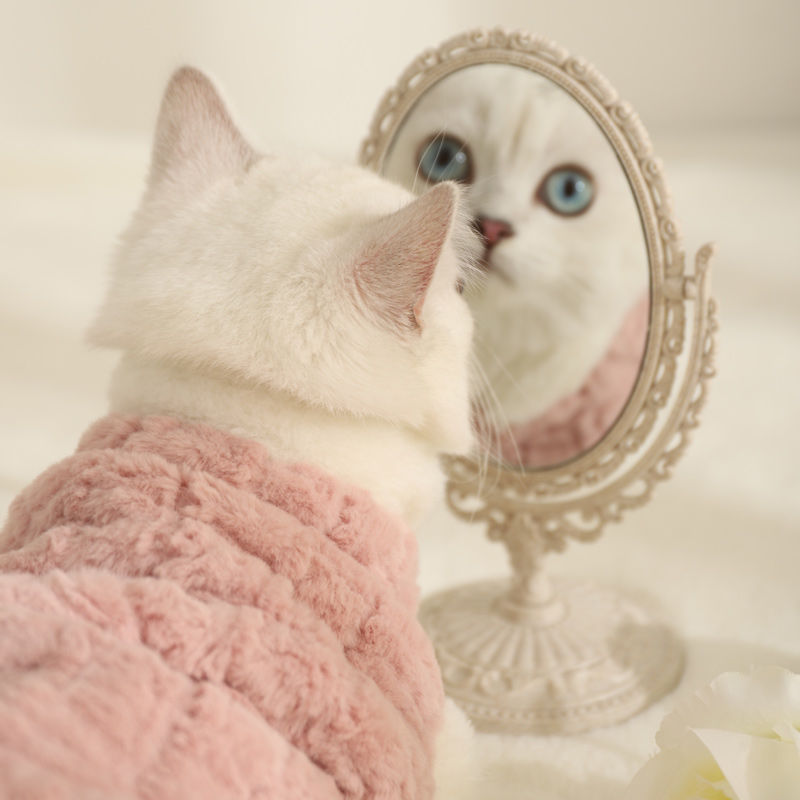 KFX-7241405 Warm Fleece-Lined Cat Clothing in Pink and Yellow Velvet, Sizes S to XL