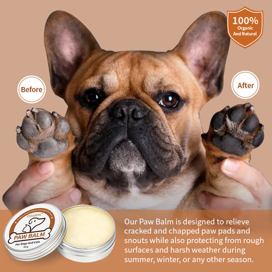 KFX-7244605 Dog Paw and Foot Moisturizing Care Cream - 60g for Dry Skin Relief