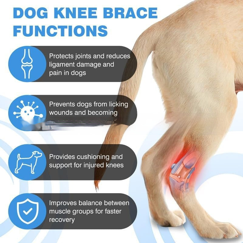 KFX-7249341 Pet Dog Joint Knee Pad for ACL Tear Rehabilitation and Joint Dislocation Protection - Black