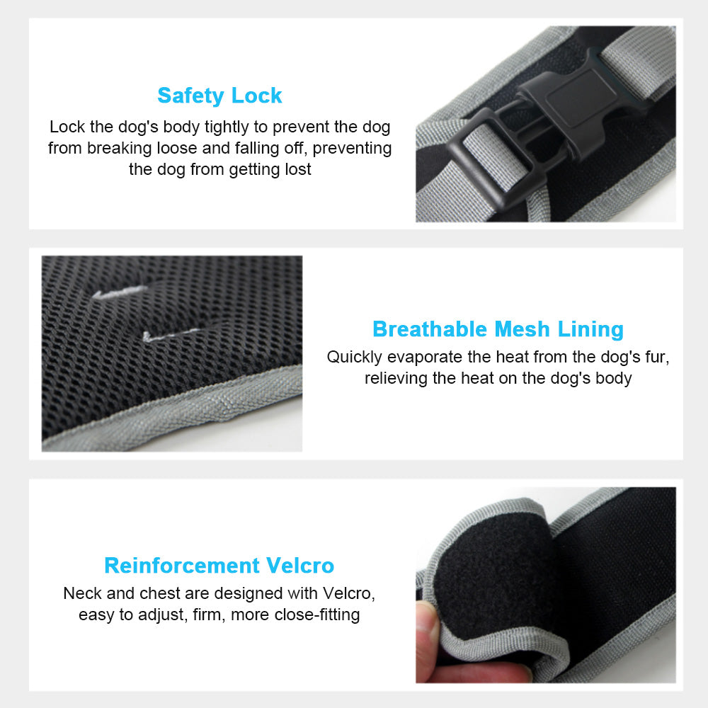 KFX-7251773 Luminous LED Pet Chest Strap - Lake Blue and Fluorescent Green Options Available