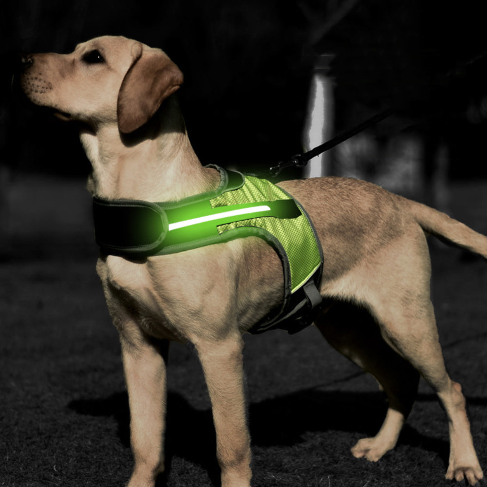 KFX-7251773 Luminous LED Pet Chest Strap - Lake Blue and Fluorescent Green Options Available
