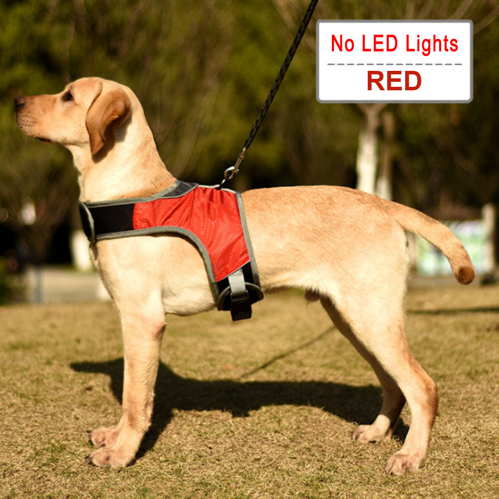 KFX-7251773 Luminous LED Pet Chest Strap - Lake Blue and Fluorescent Green Options Available