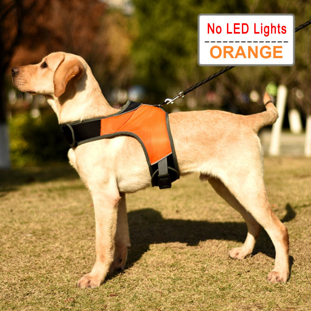 KFX-7251773 Luminous LED Pet Chest Strap - Lake Blue and Fluorescent Green Options Available