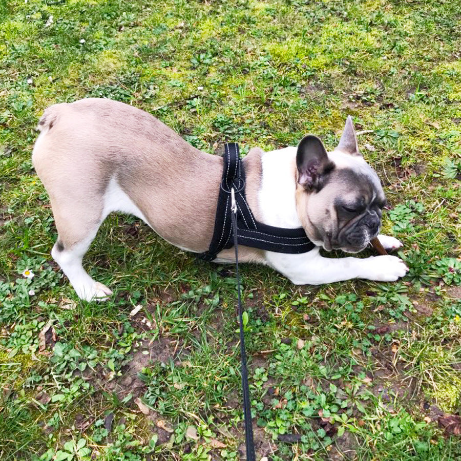 KFX-7257533 Adjustable Fleece Pet Vest with Reflective Chest Harness and Durable Leash