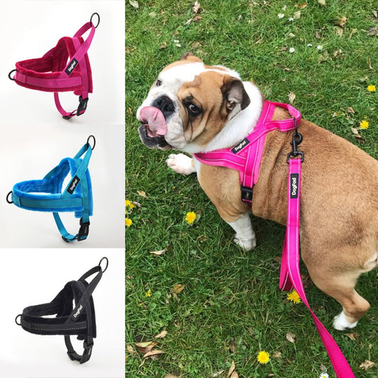 KFX-7257533 Adjustable Fleece Pet Vest with Reflective Chest Harness and Durable Leash