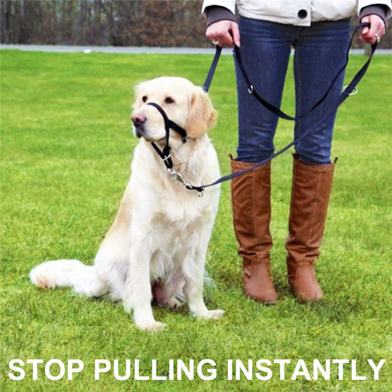 KFX-7263805 Adjustable Nylon Anti-Bite Pet Muzzle and Traction Training Belt for Dogs