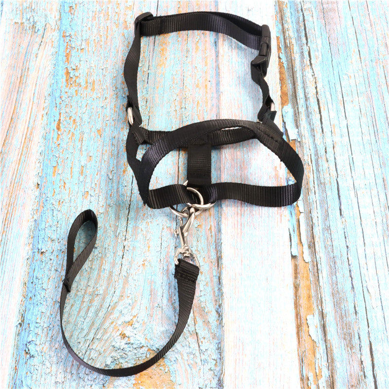KFX-7263805 Adjustable Nylon Anti-Bite Pet Muzzle and Traction Training Belt for Dogs