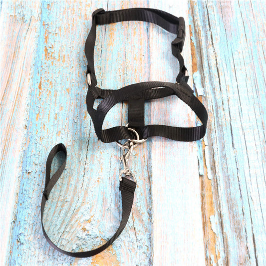 KFX-7263805 Adjustable Nylon Anti-Bite Pet Muzzle and Traction Training Belt for Dogs