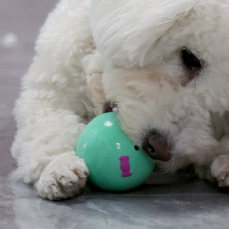 KFX-7266237 Cute Egg-Shaped Latex Toy for Small to Medium Dogs, Fun Sound Feature