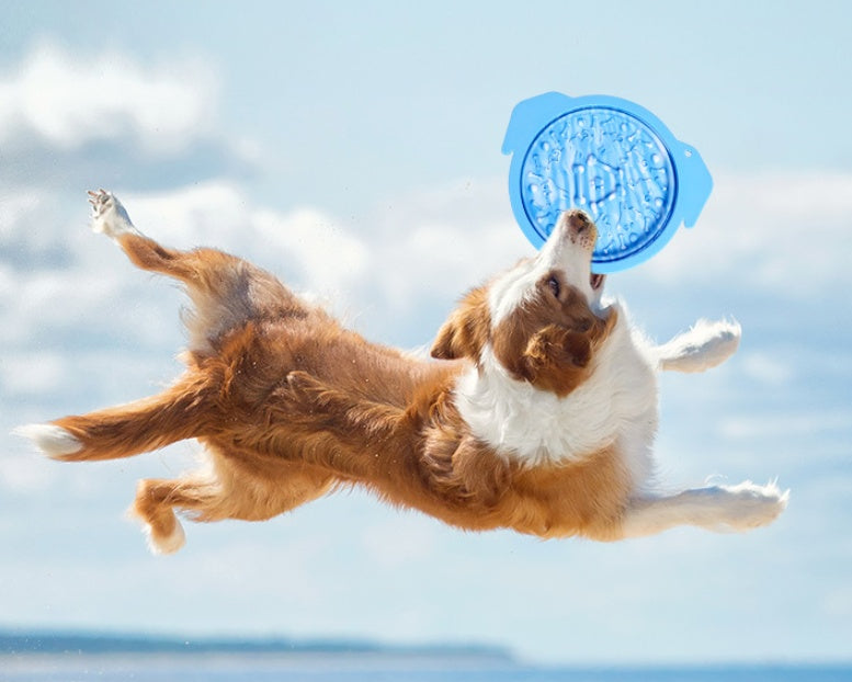 KFX-7267773 Multi-functional Silicone Suction Cup Lick Pad and Slow Feeder Bowl